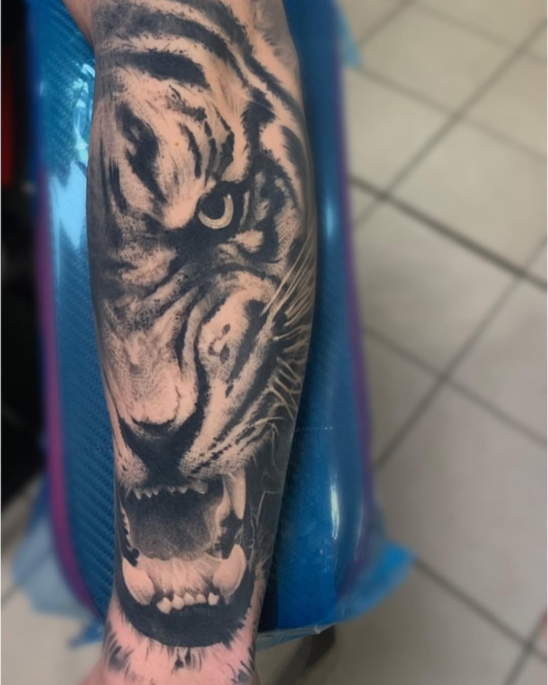 Tiger