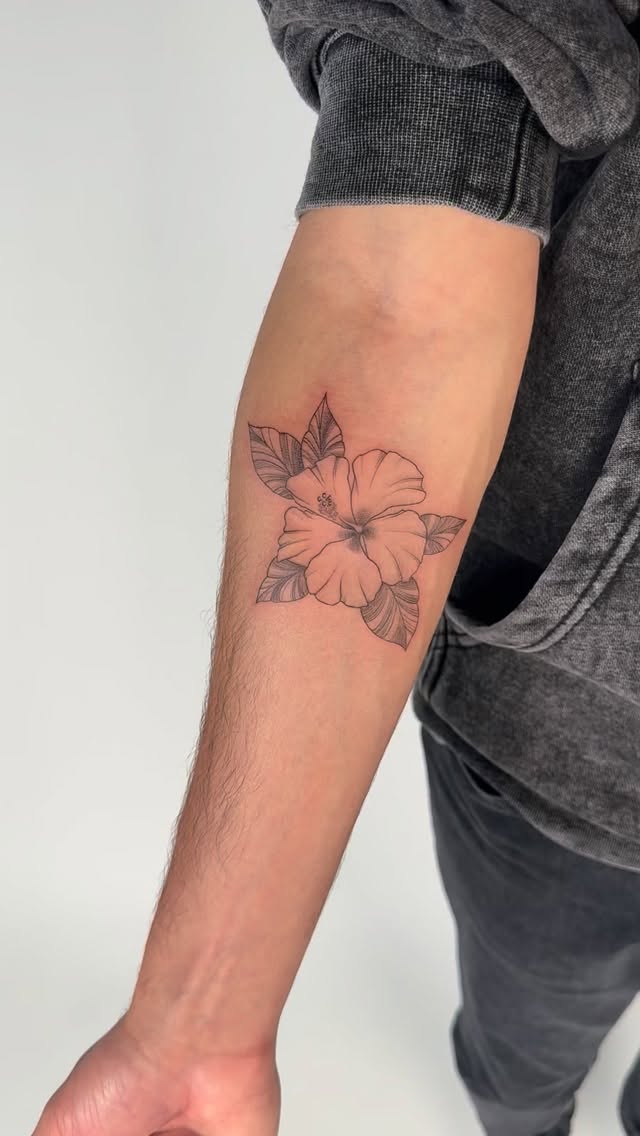 Flower, Rose, 목련