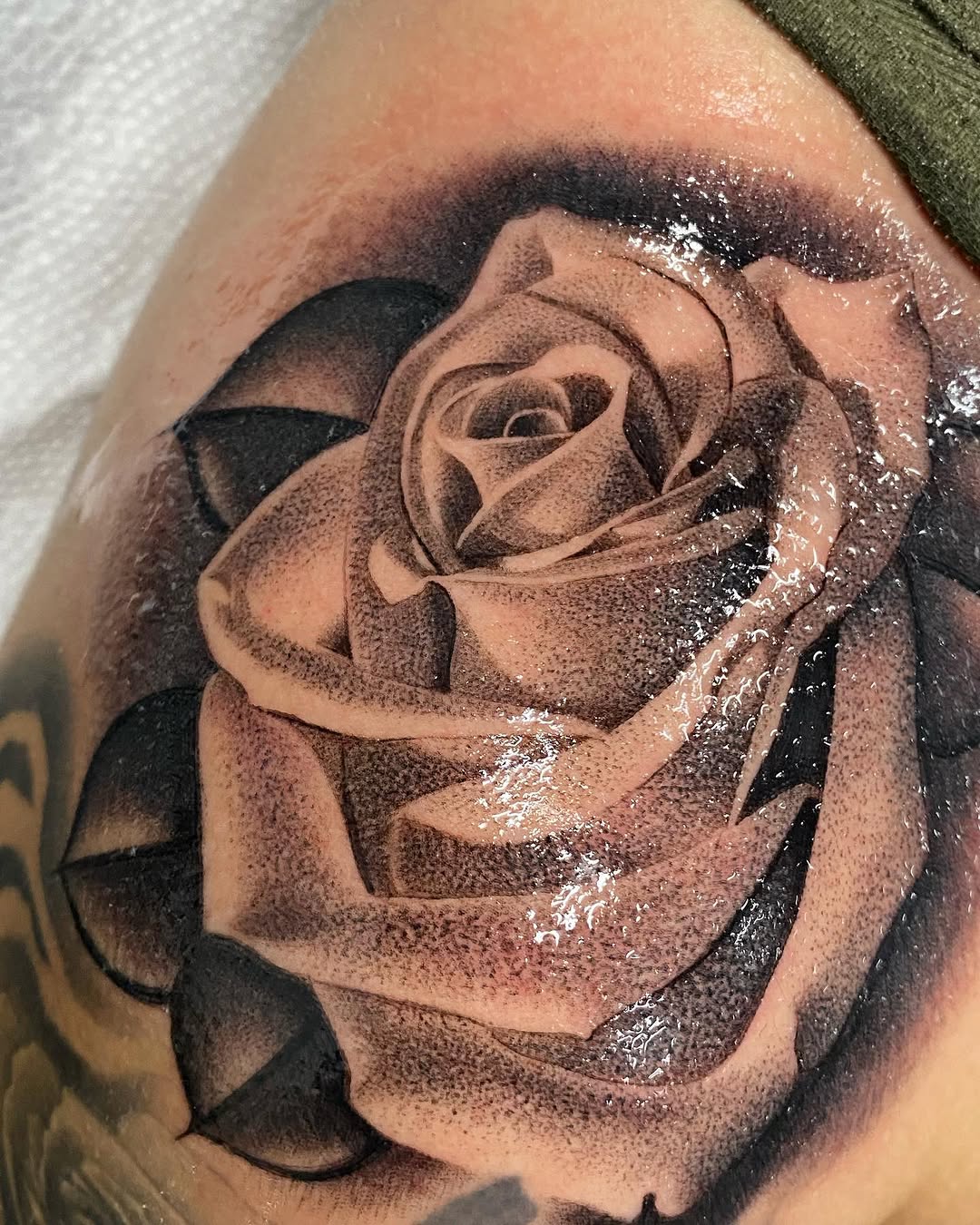 Flower, Rose