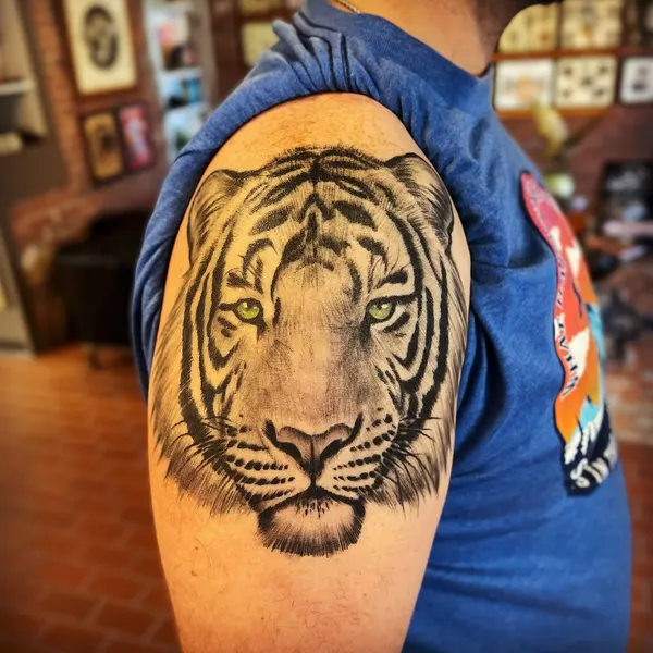Tiger
