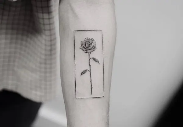 Flower, Rose
