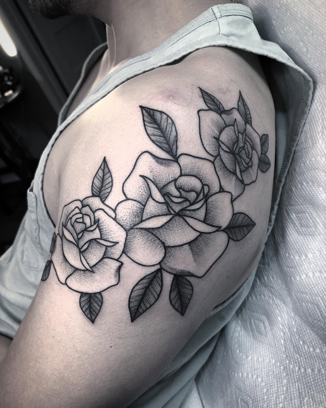 Flower, Rose, Nature
