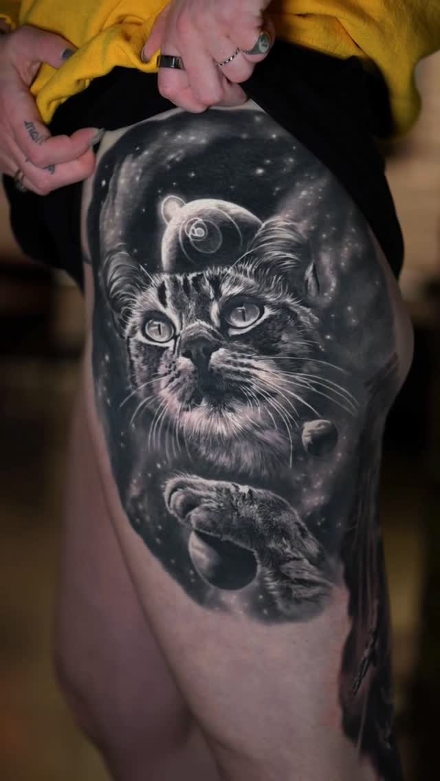 Animal