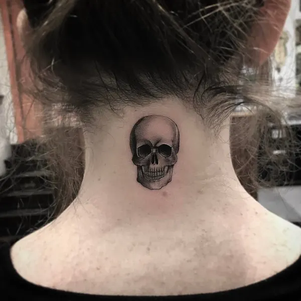 뼈, Skull