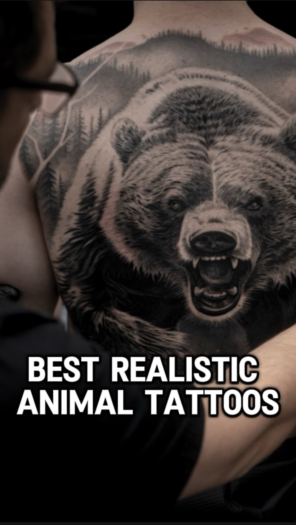 Animal, 곰