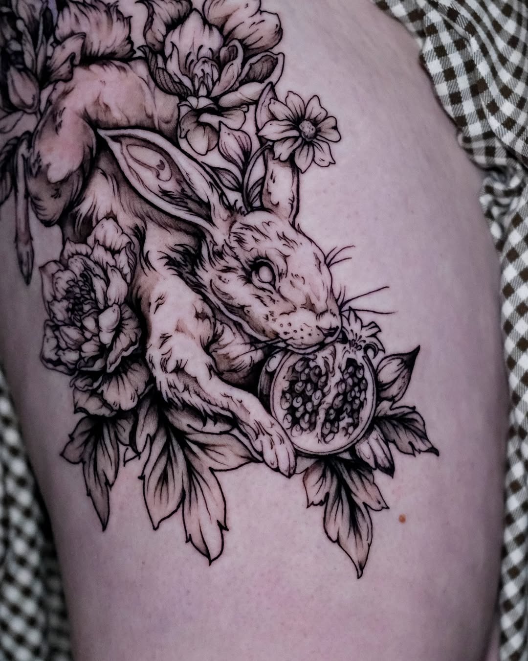 Animal, 토끼