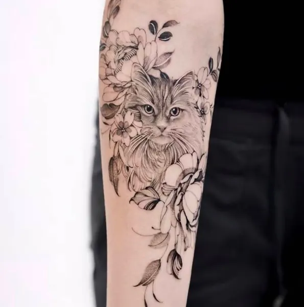 Animal