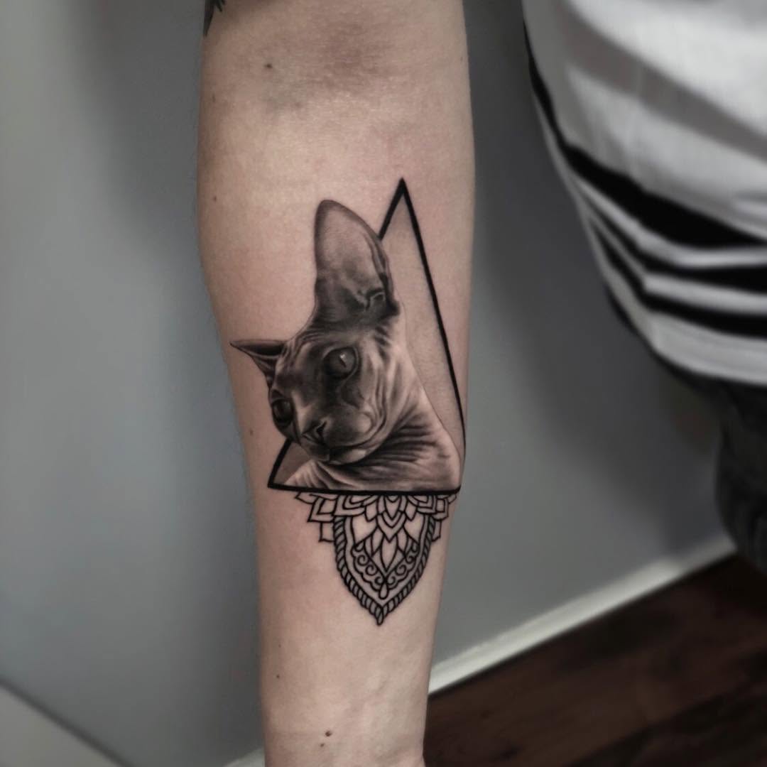Animal