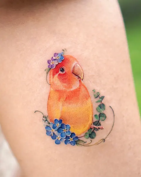 Animal, 앵무새, 공작