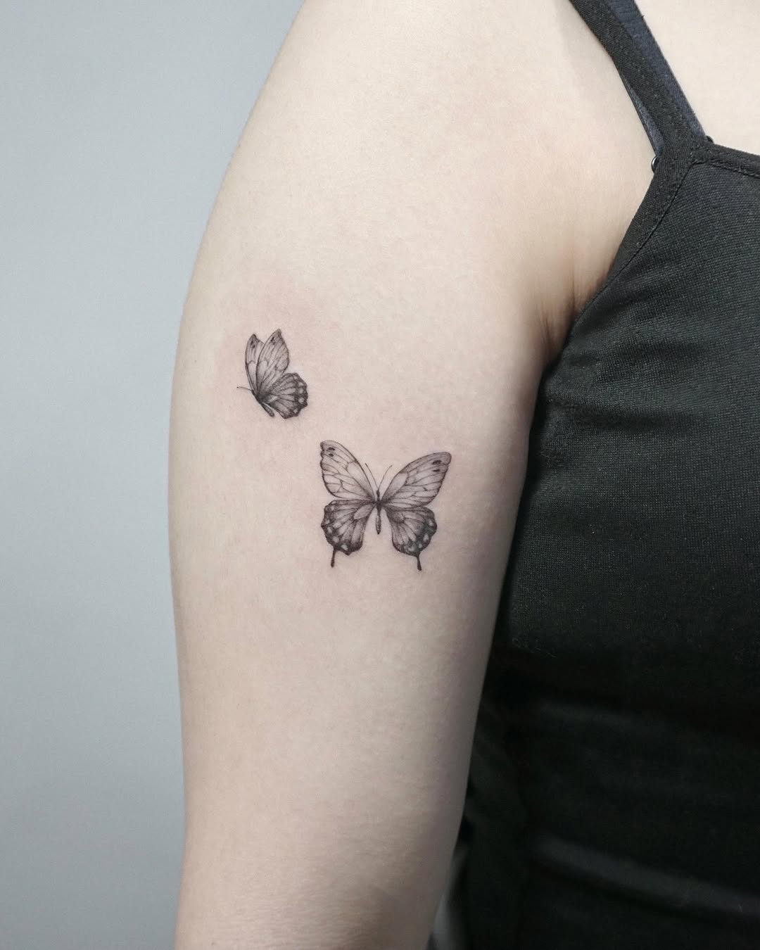 Nature, Animal, 나방, 나비