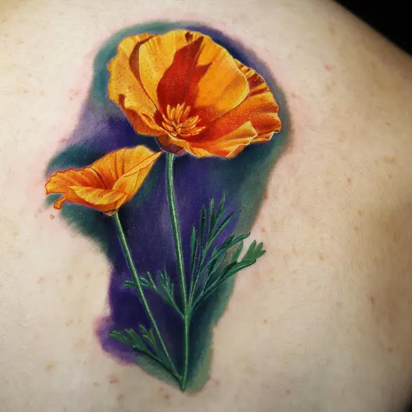 Flower, 백합, 튤립, 수선화, 아이리스, 난초, 꽃 배경