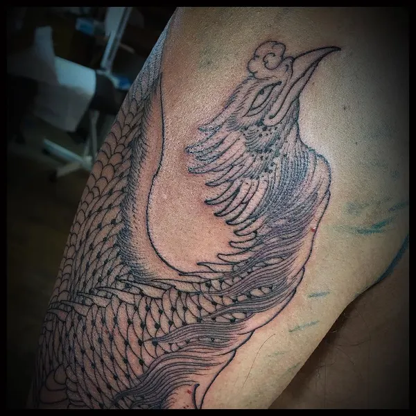 Dragon