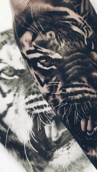 Tiger