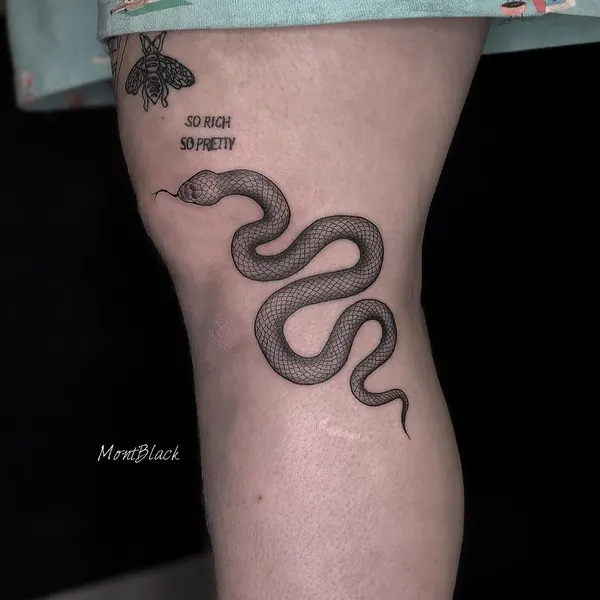 Dragon, 체인, Snake