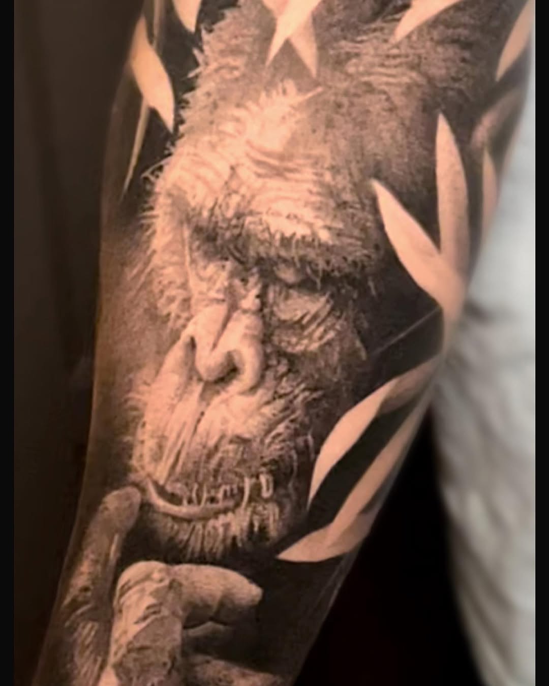 Tiger, Animal