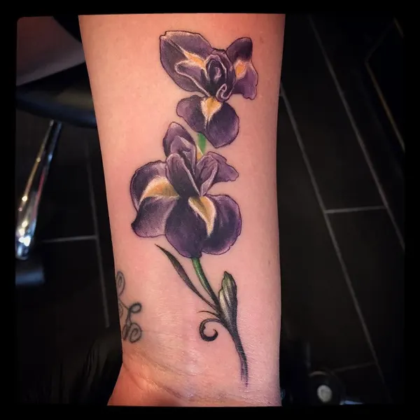 Flower, 난초, 아이리스