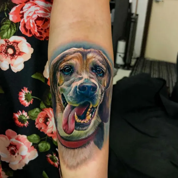 Animal