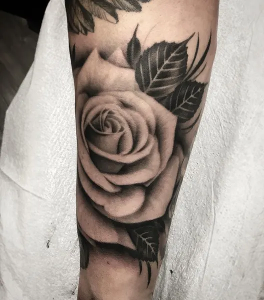 Flower, Rose