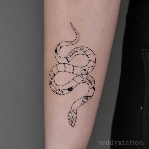 Dragon, 전갈자리, Snake