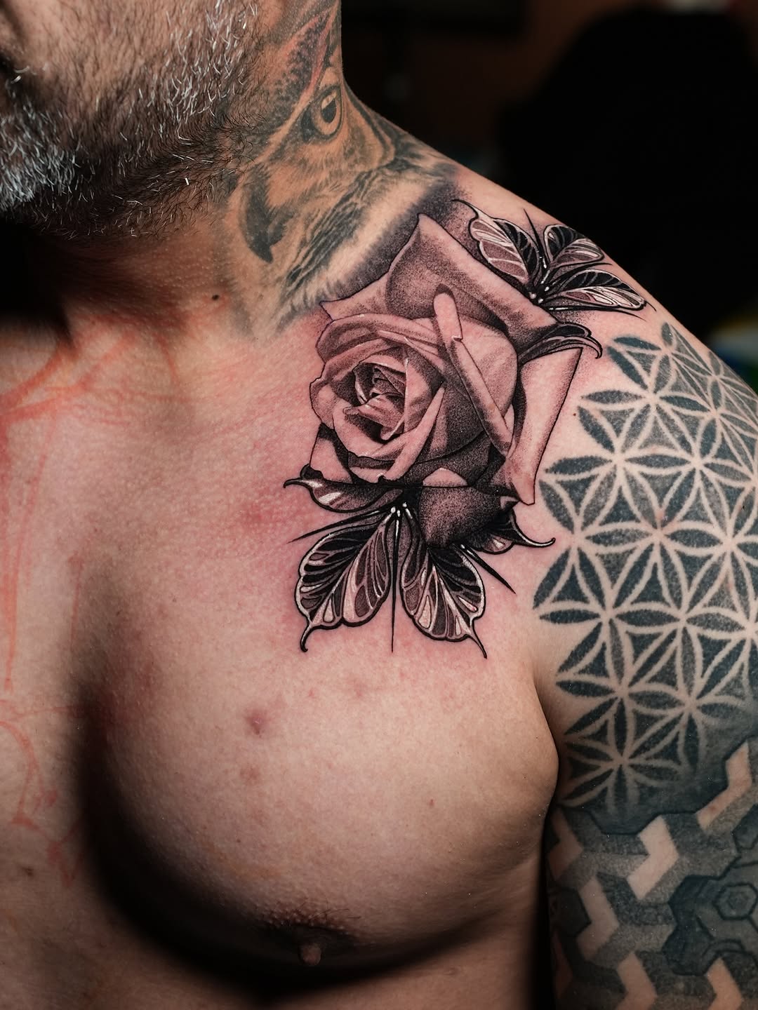 Flower, Rose