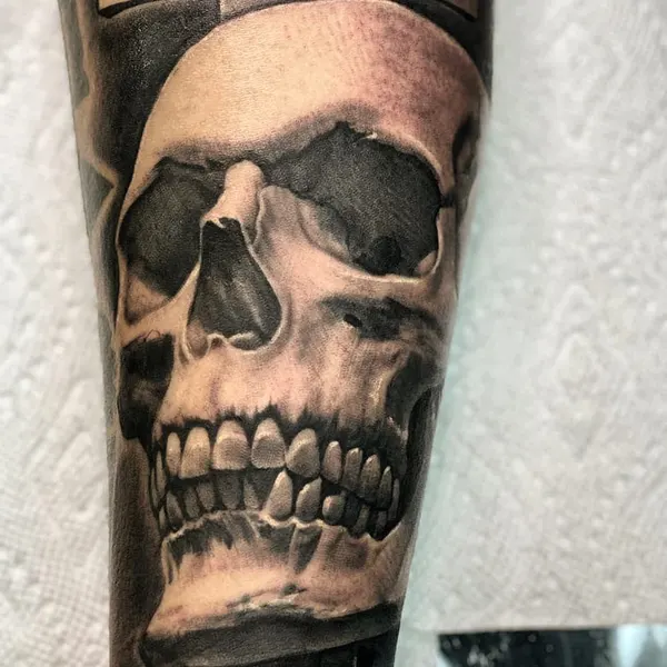 뼈, Skull