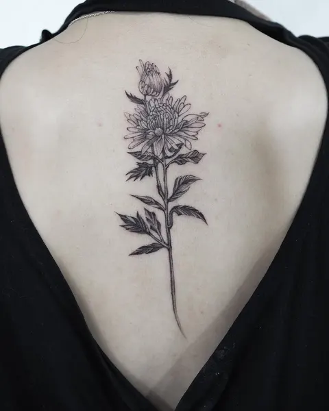 Flower, Rose, 잎, 고사리, 은행잎, 탄생화, 수국, 허브, 라벤더