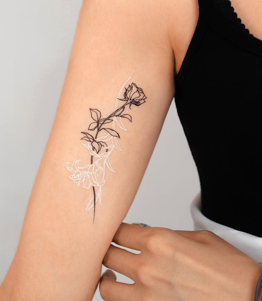 Flower, Rose