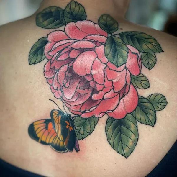 Flower, Rose, Nature