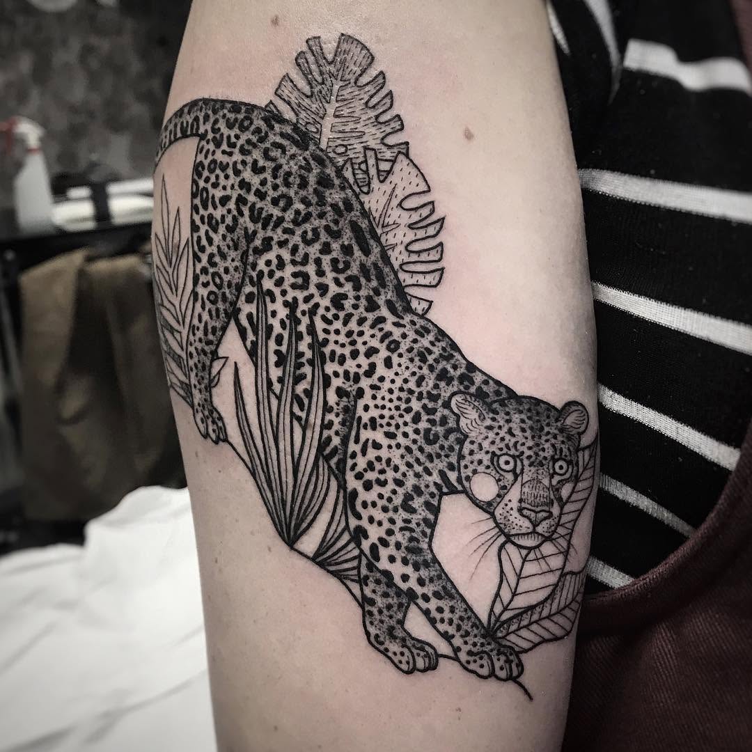 Animal, Tiger, 표범