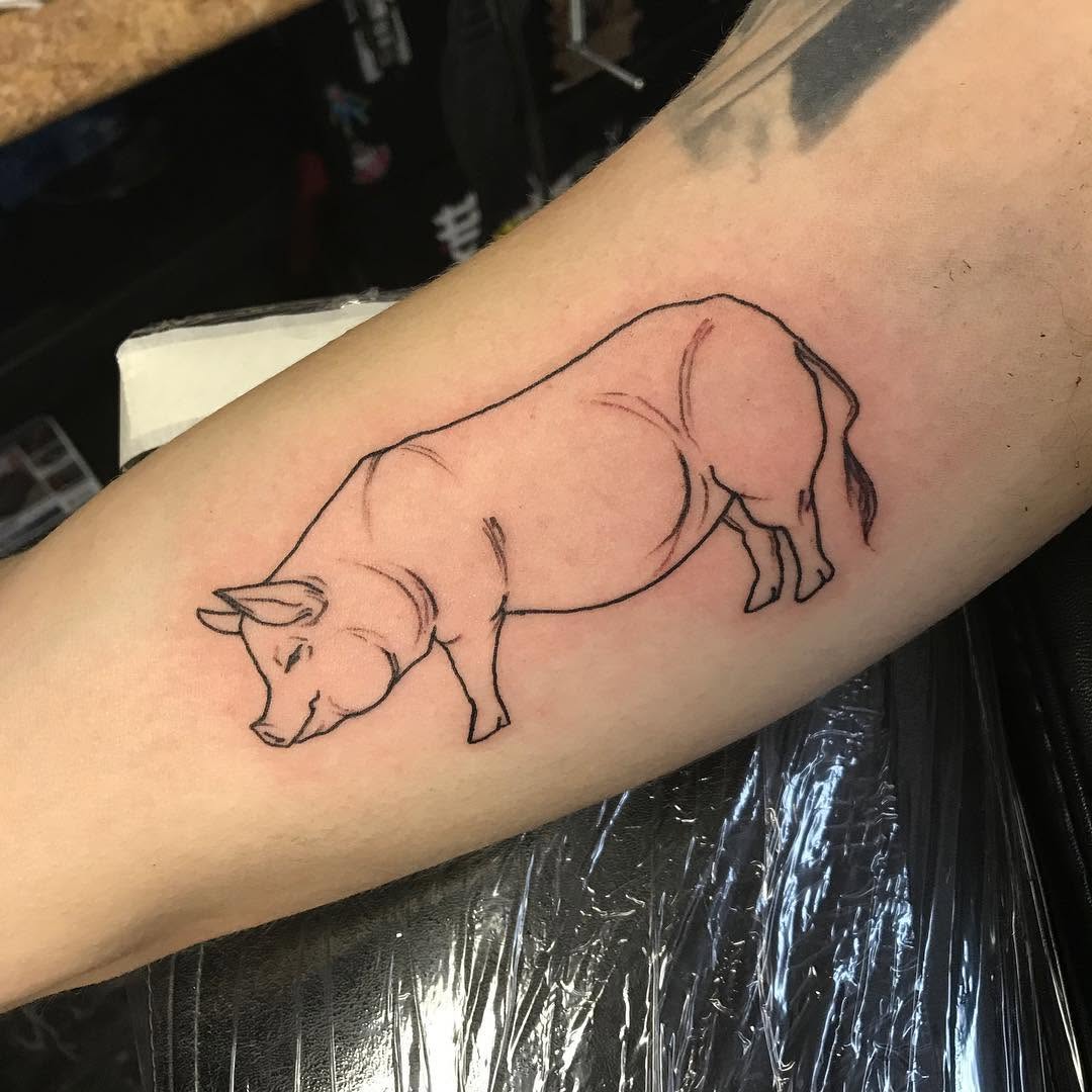 Animal, 돼지