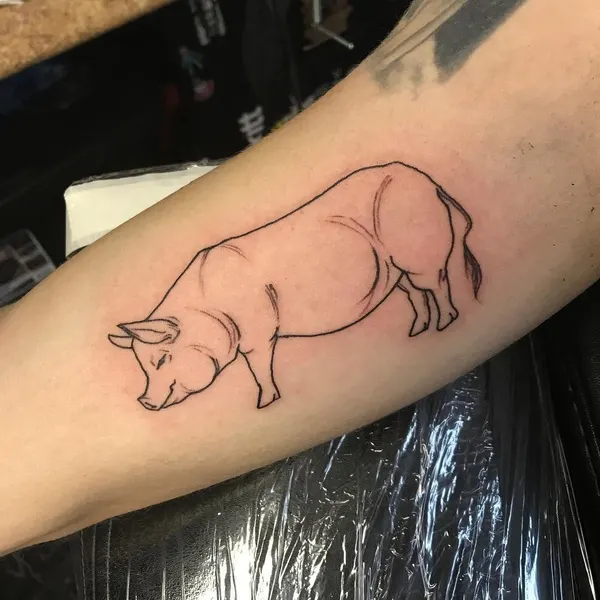 Animal, 돼지