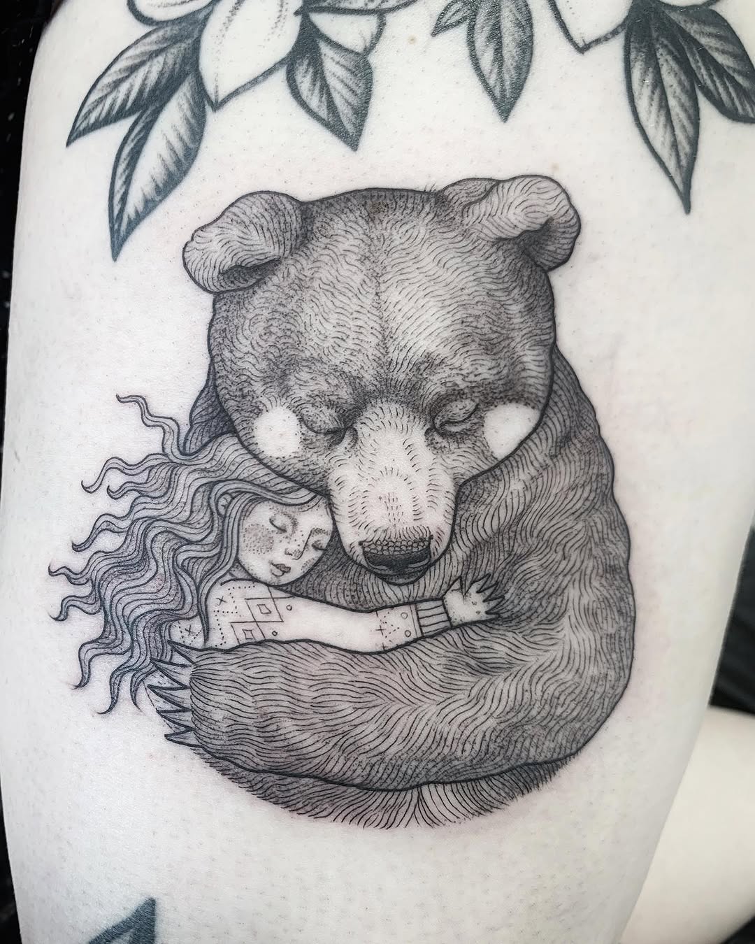 Animal, 곰, 코알라