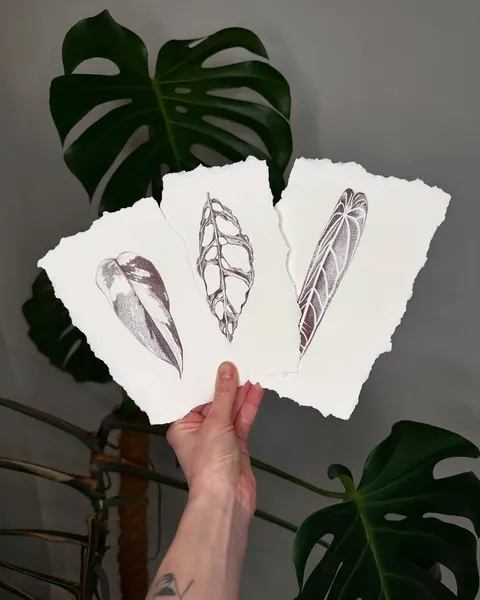 plantsnpokes