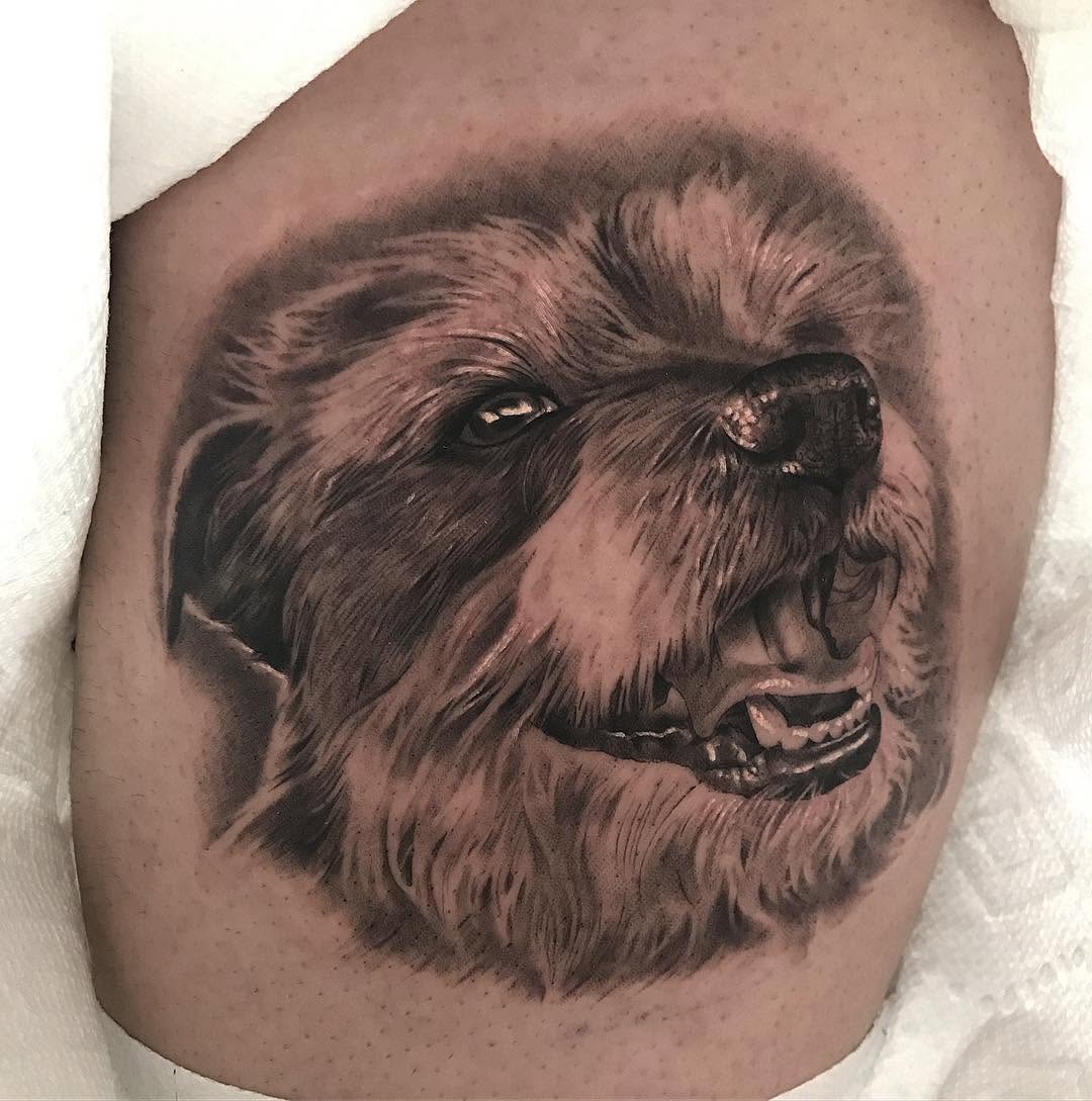 Animal