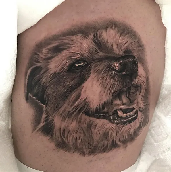 Animal