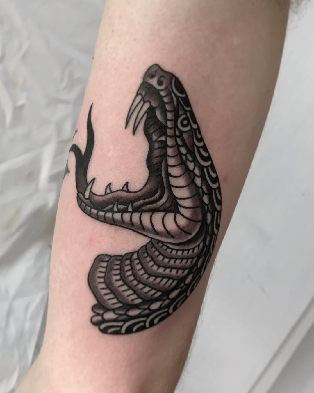 Dragon, 지네, 전갈, Snake