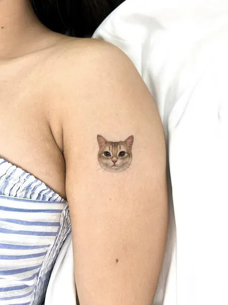 함사, 마네키네코, 텐구, 고양이