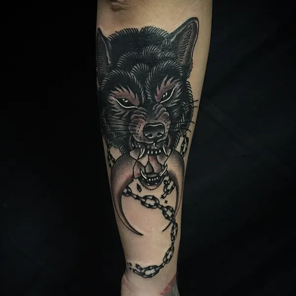 Animal, Tiger