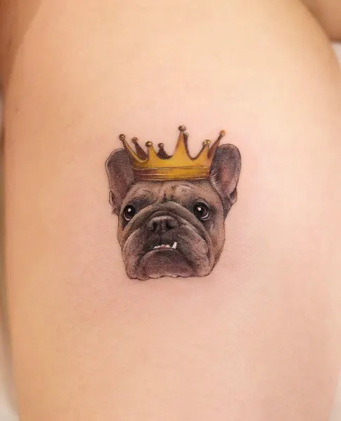 Animal