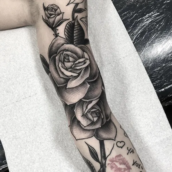 Rose, Flower
