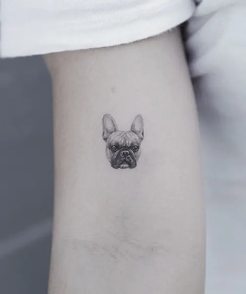 부엉이