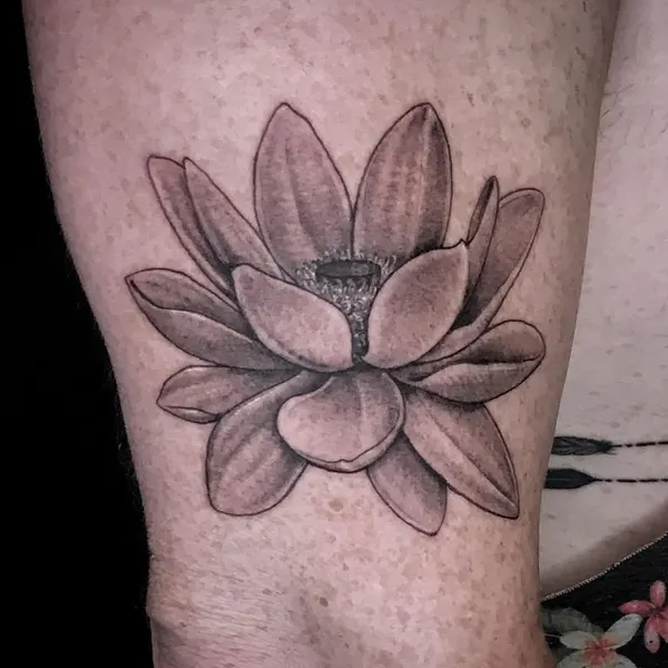 Flower, 목련