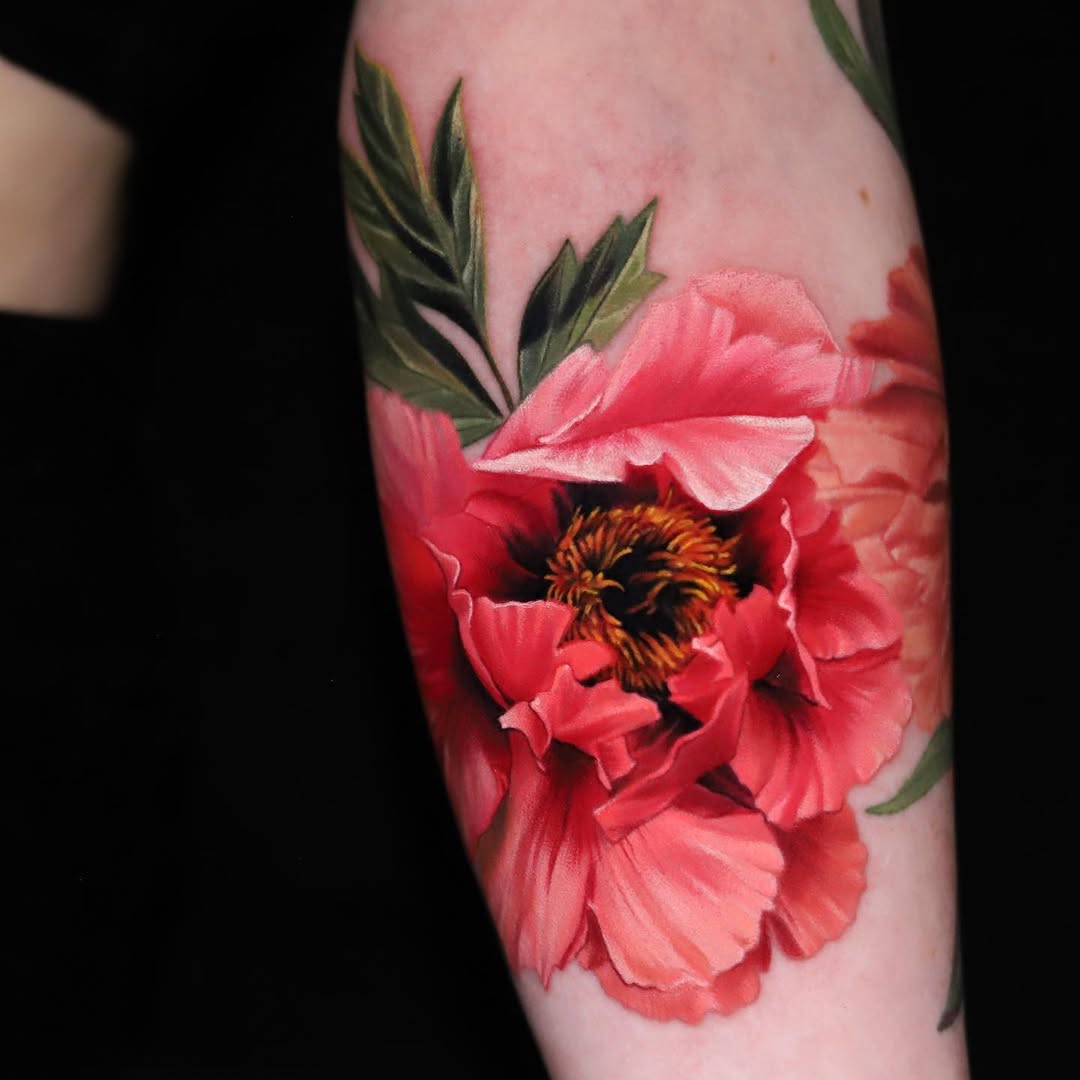 Flower, Rose, 양귀비