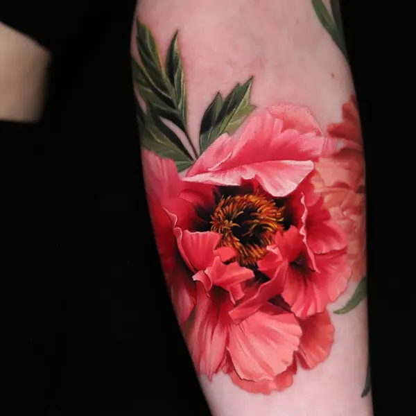 Flower, Rose, 양귀비