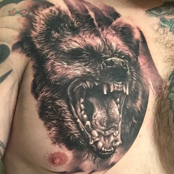 Animal, Tiger