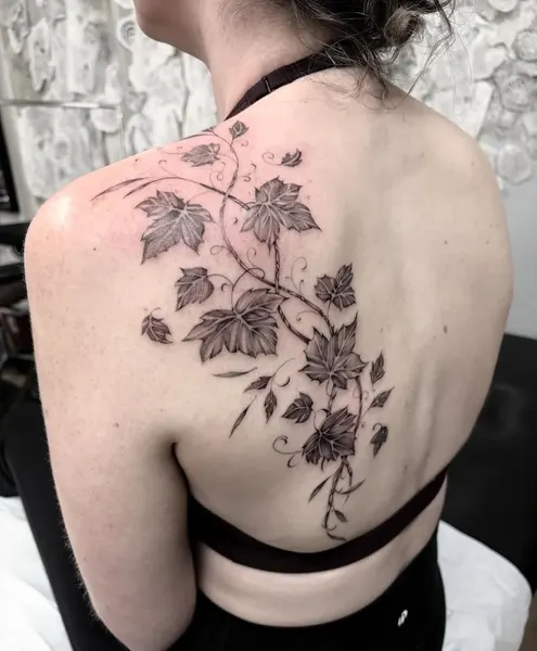 Flower, Rose, Nature, 덩굴, 수국, 은행잎