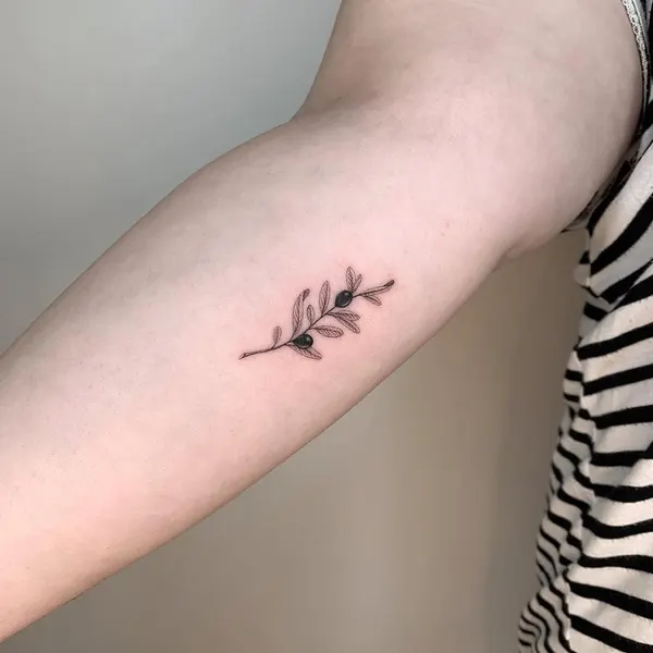 Flower, Rose, 염소자리, 양자리