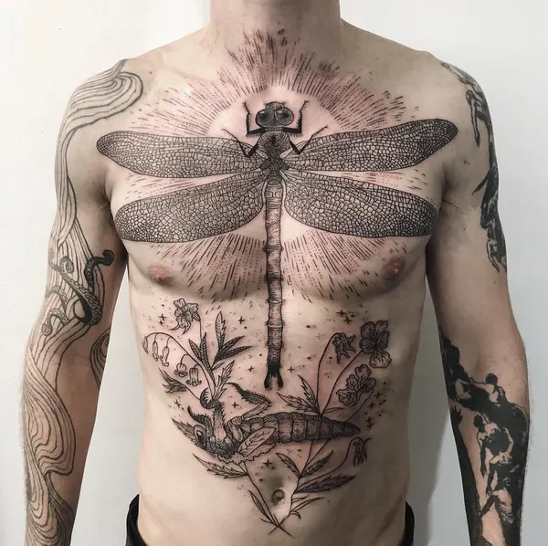 Animal, Nature, 잠자리, 매미