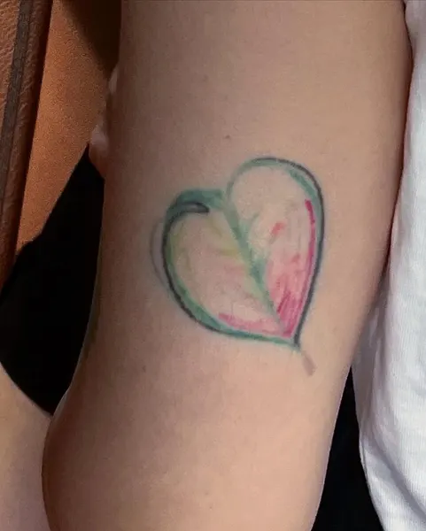 Flower, Rose, 모란, 목련, 히비스커스, 커버업