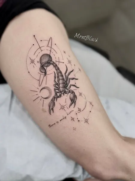 개미, 벌, 랍스터, 별자리, 딱정벌레, 전갈자리, 전갈, 오징어